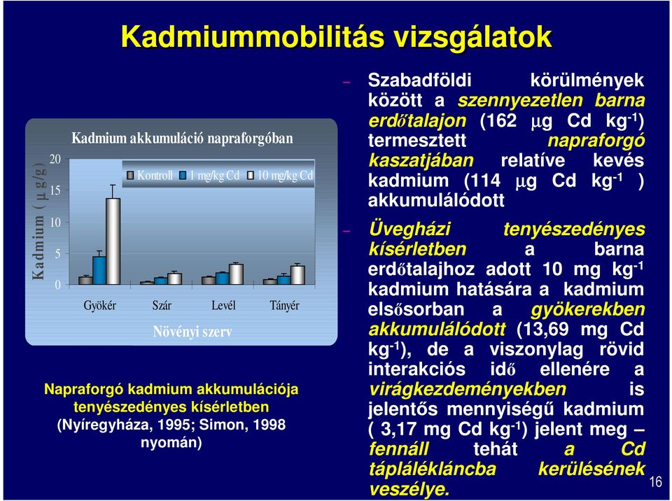 kevés kadmium (114 µg Cd kg -1 ) akkumulálódott Üvegházi tenyészedényes kísérletben a barna erdőtalajhoz adott 10 mg kg -1 kadmium hatására a kadmium elsősorban a gyökerekben akkumulálódott (13,69 mg