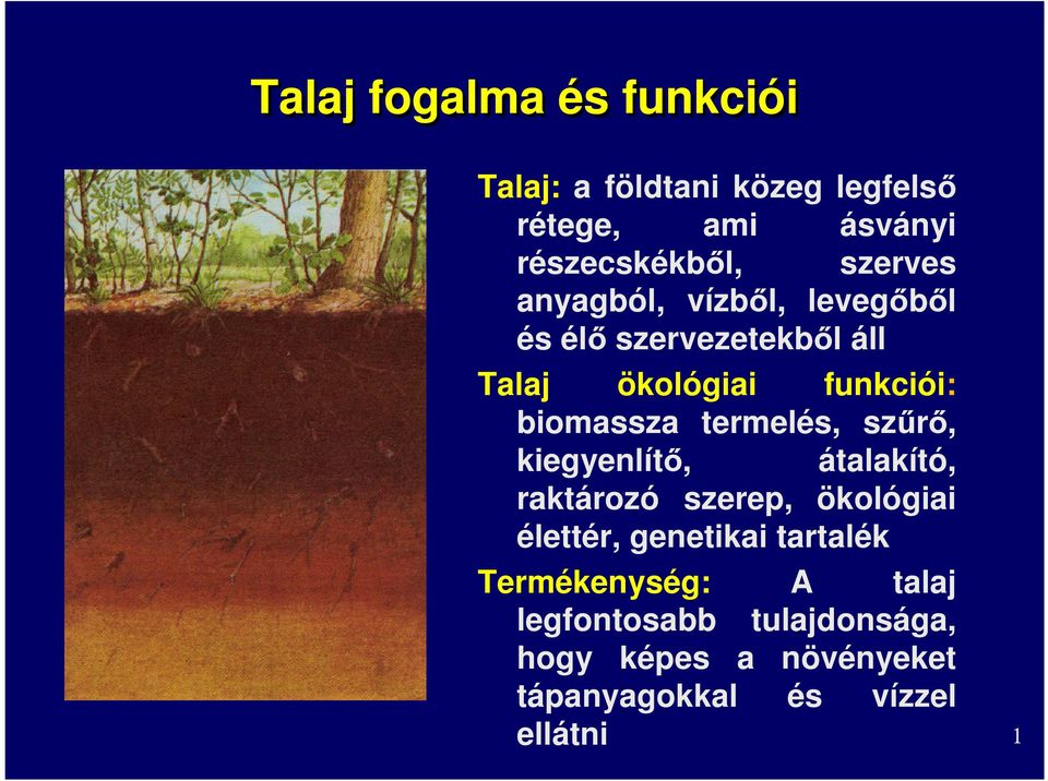 termelés, szűrő, kiegyenlítő, átalakító, raktározó szerep, ökológiai élettér, genetikai tartalék