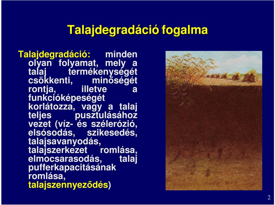 a talaj teljes pusztulásához vezet (víz- és szélerózió, elsósodás, szikesedés,