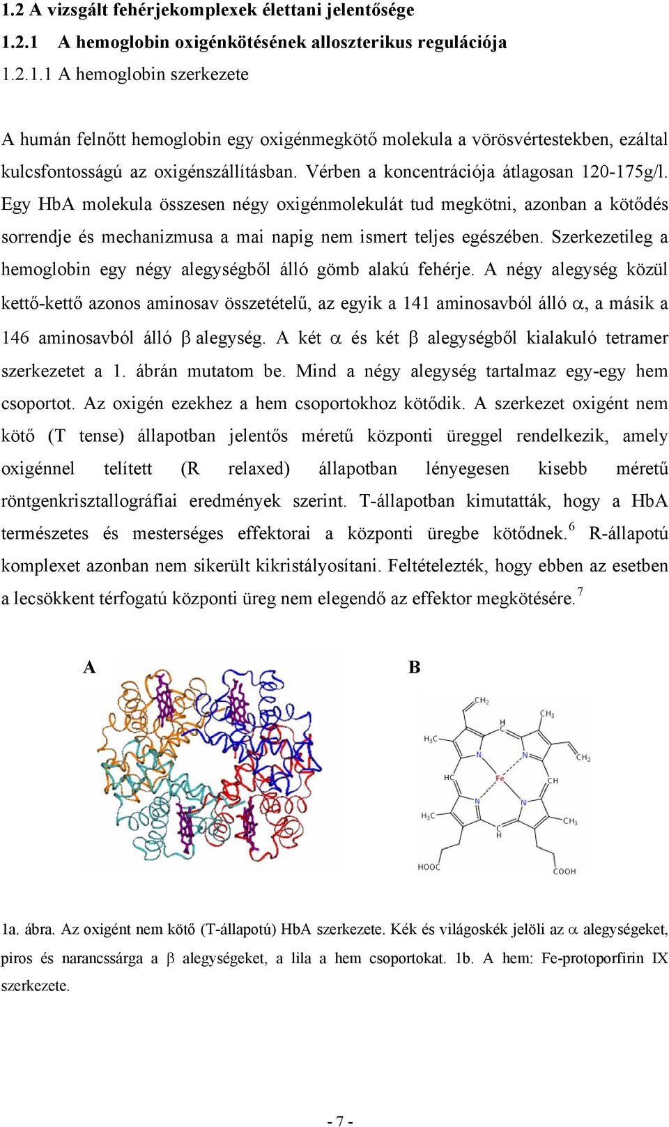 Szerkezetleg a hemoglobn egy négy alegységből álló gömb alakú fehérje.