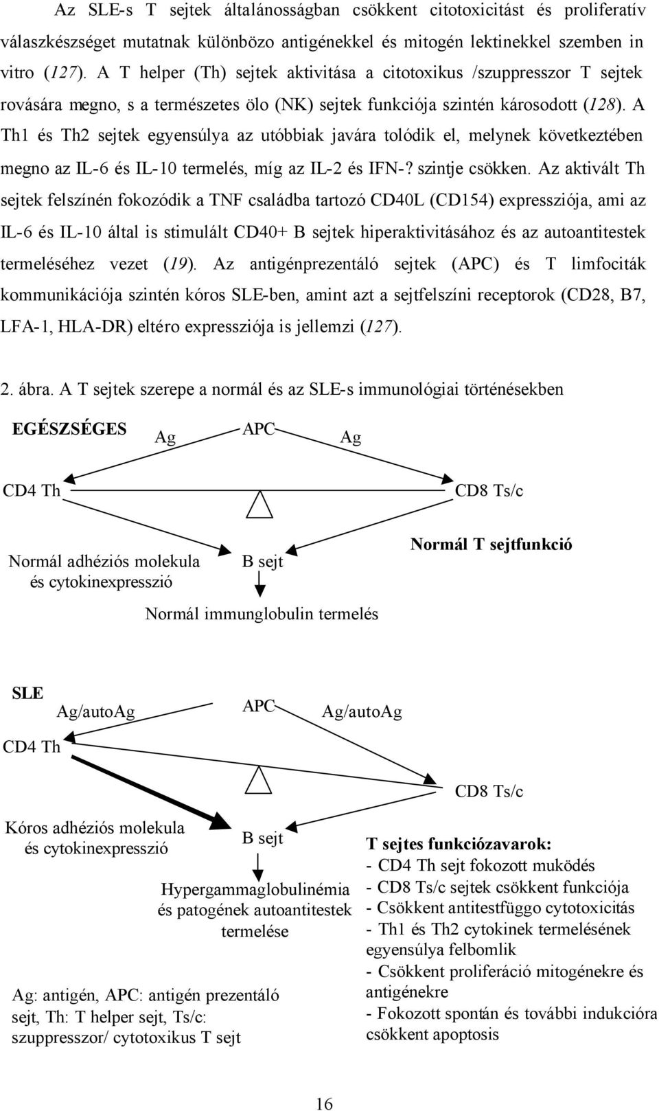 A Th1 és Th2 sejtek egyensúlya az utóbbiak javára tolódik el, melynek következtében megno az IL-6 és IL-10 termelés, míg az IL-2 és IFN-? szintje csökken.