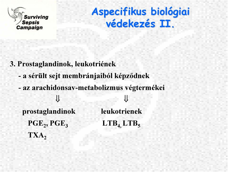 membránjaiból képződnek - az