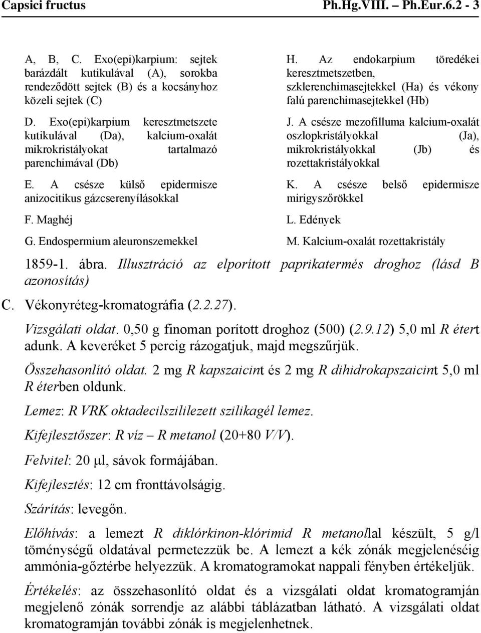 Endospermium aleuronszemekkel H. Az endokarpium töredékei keresztmetszetben, szklerenchimasejtekkel (Ha) és vékony falú parenchimasejtekkel (Hb) J.