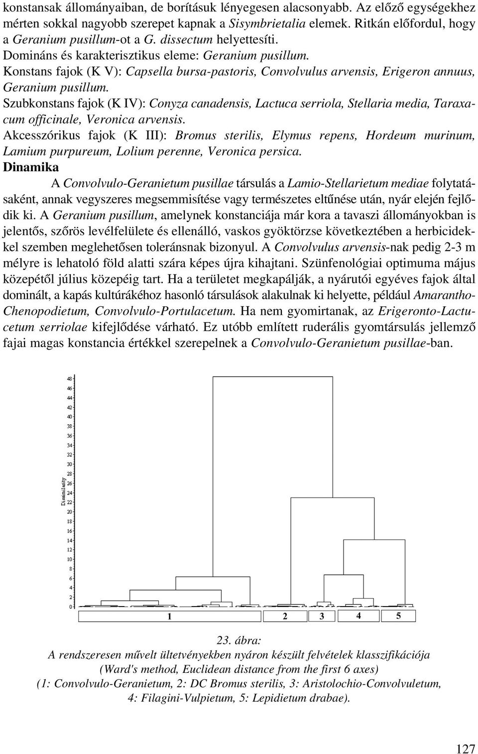 Szubkonstans fajok (K IV): Conyza canadensis, Lactuca serriola, Stellaria media, Taraxacum officinale, Veronica arvensis.