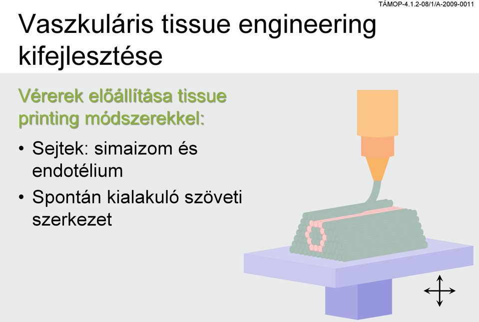 printing módszerekkel: Sejtek: simaizom