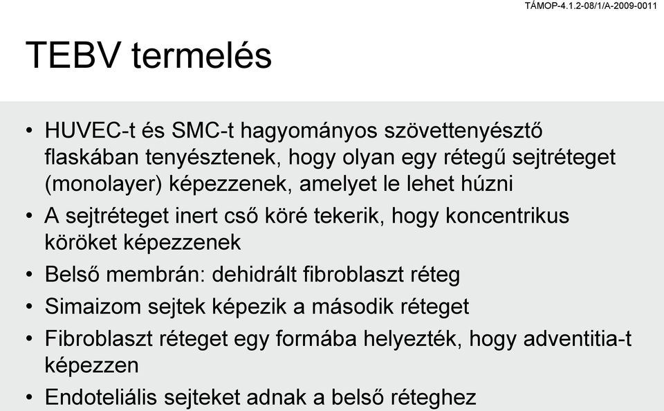 koncentrikus köröket képezzenek Belső membrán: dehidrált fibroblaszt réteg Simaizom sejtek képezik a második