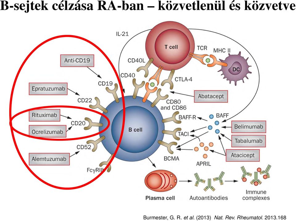 Burmester, G. R. et al.