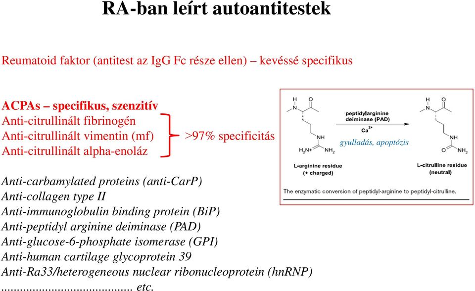 Anti-carbamylated proteins (anti-carp) Anti-collagen type II Anti-immunoglobulin binding protein (BiP) Anti-peptidyl arginine