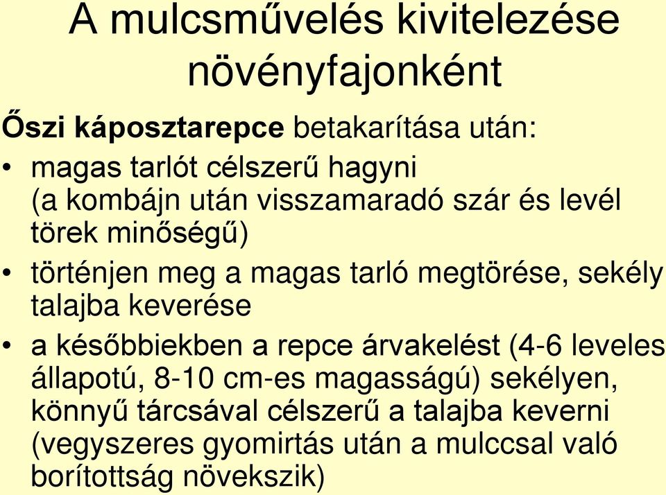 sekély talajba keverése a későbbiekben a repce árvakelést (4-6 leveles állapotú, 8-10 cm-es magasságú)