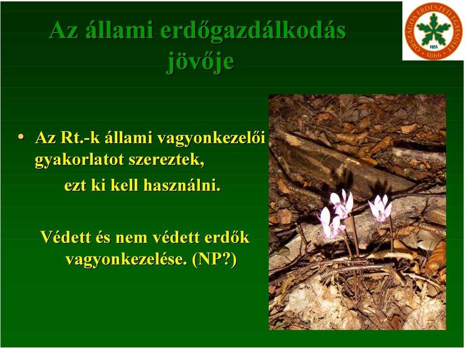 szereztek, ezt ki kell használni.
