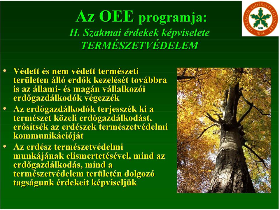 az állami- és magán vállalkozói erdőgazdálkodók végezzék Az erdőgazdálkodók terjesszék ki a természet közeli
