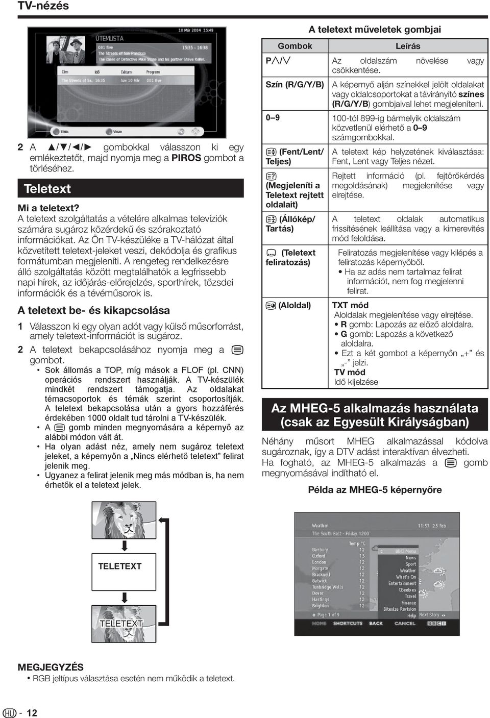 Az Ön TV-készüléke a TV-hálózat által közvetített teletext-jeleket veszi, dekódolja és grafikus formátumban megjeleníti.
