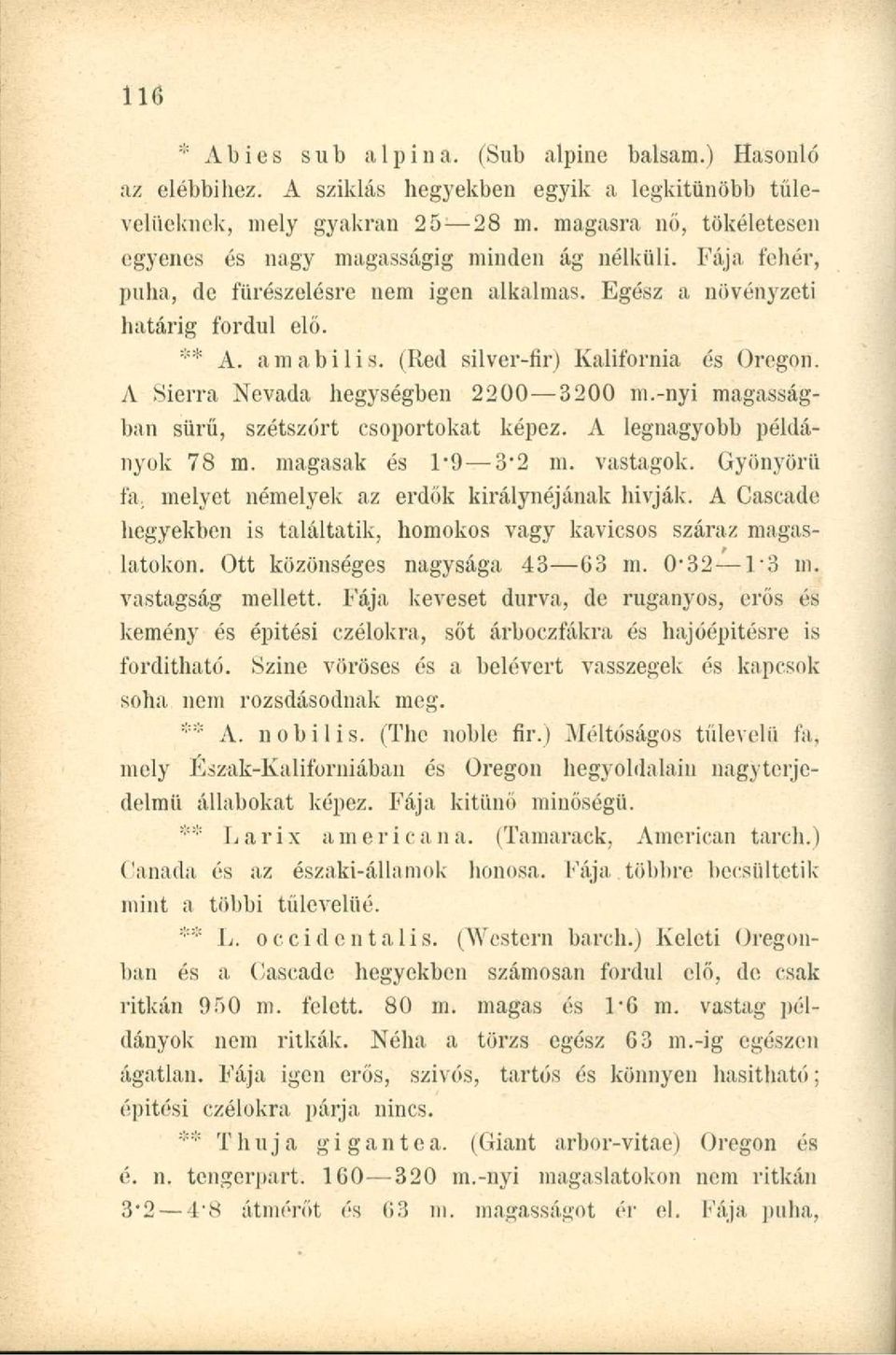 (Red silver-fir) Kalifornia és Oregon. A Sierra Nevada hegységben 2200 3200 m.-nyi magasságban sűrű, szétszórt csoportokat képez. A legnagyobb példányok 78 m. magasak és 1*9 3'2 m. vastagok.