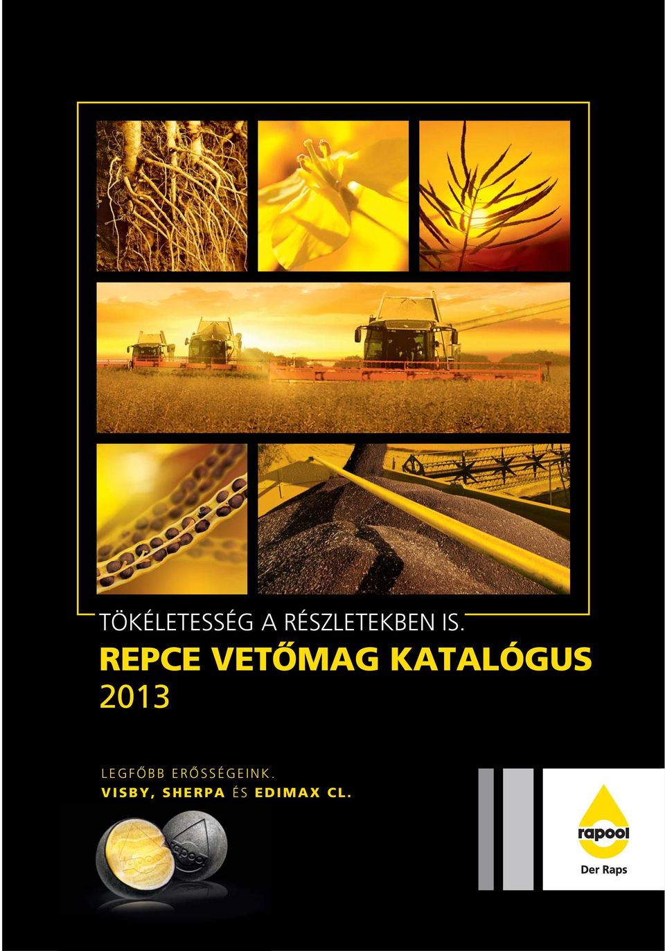 REPCE VETÔMAG KATALÓGUS