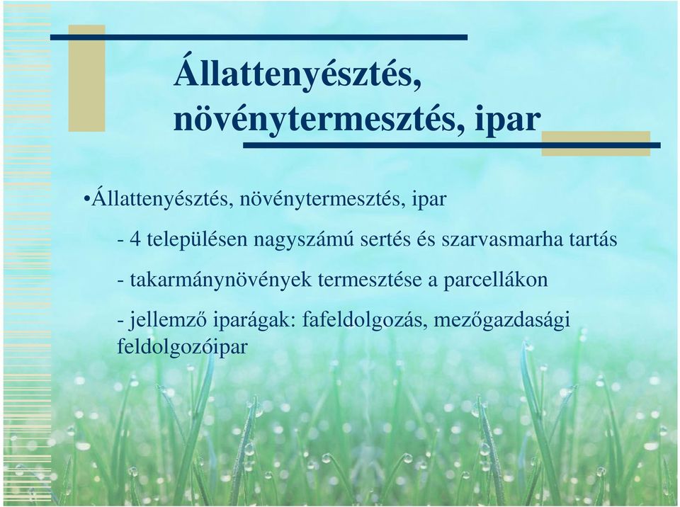 szarvasmarha tartás takarmánynövények termesztése a
