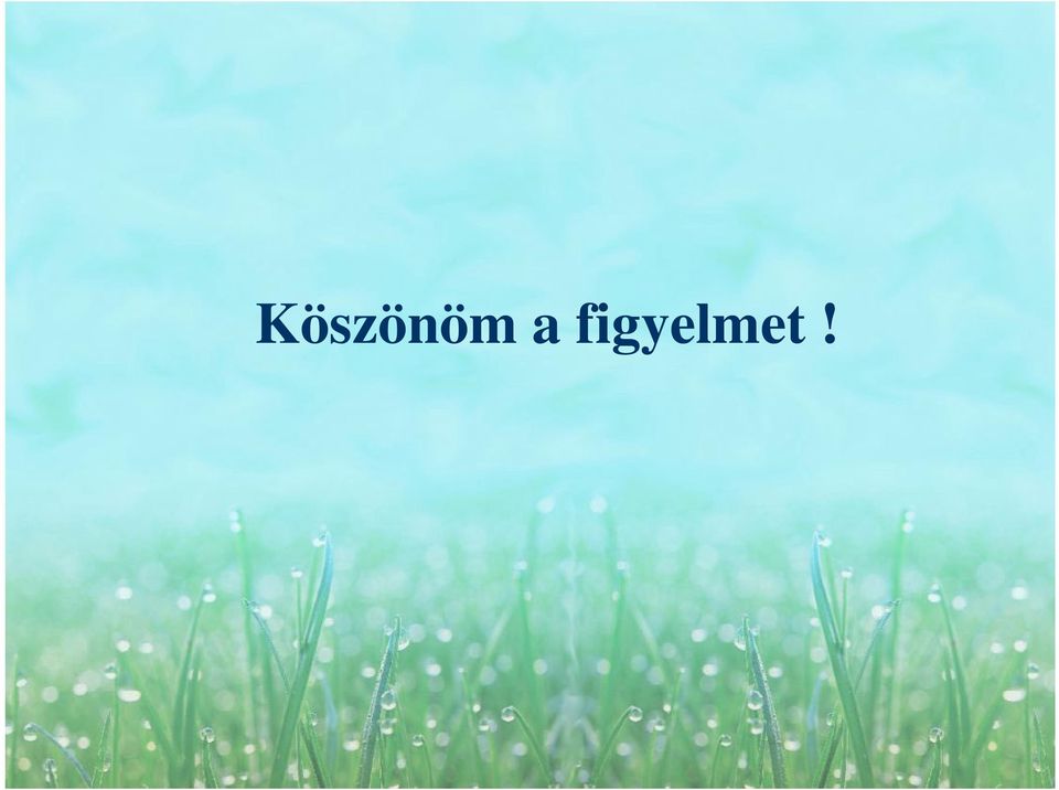 figyelmet!