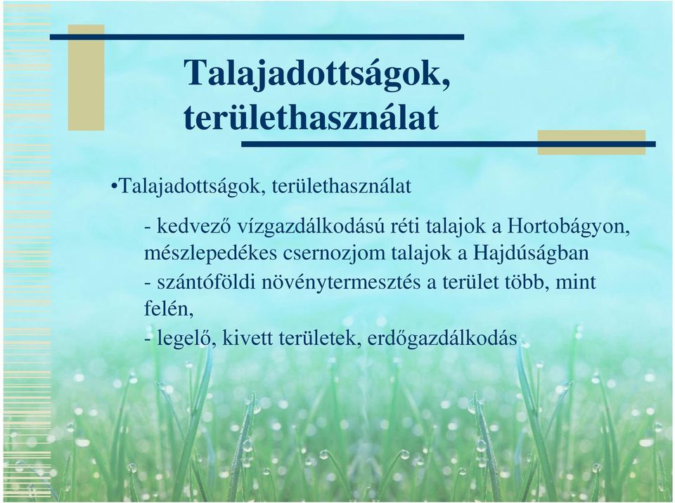 Hortobágyon, mészlepedékes csernozjom talajok a Hajdúságban