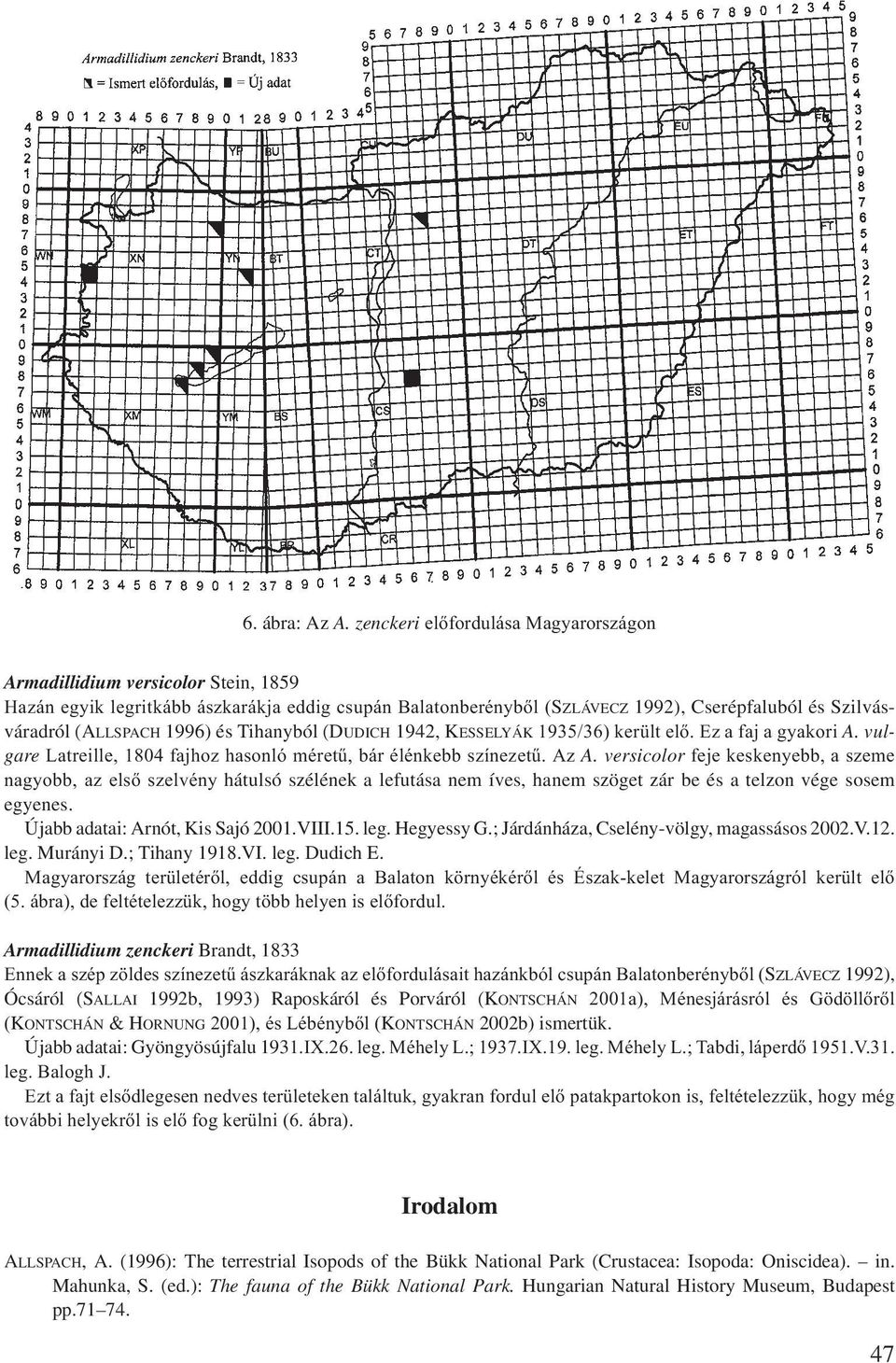 1996) és Tihanyból (DUDICH 1942, KESSELYÁK 1935/36) került elő. Ez a faj a gyakori A. vulgare Latreille, 1804 fajhoz hasonló méretű, bár élénkebb színezetű. Az A.