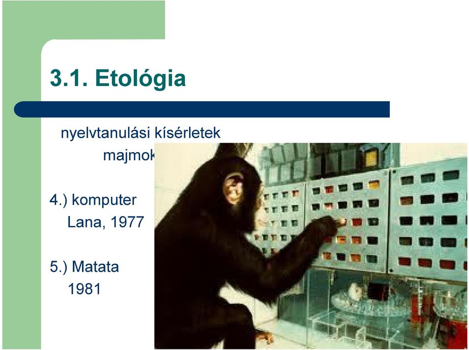 majmoknál 4.
