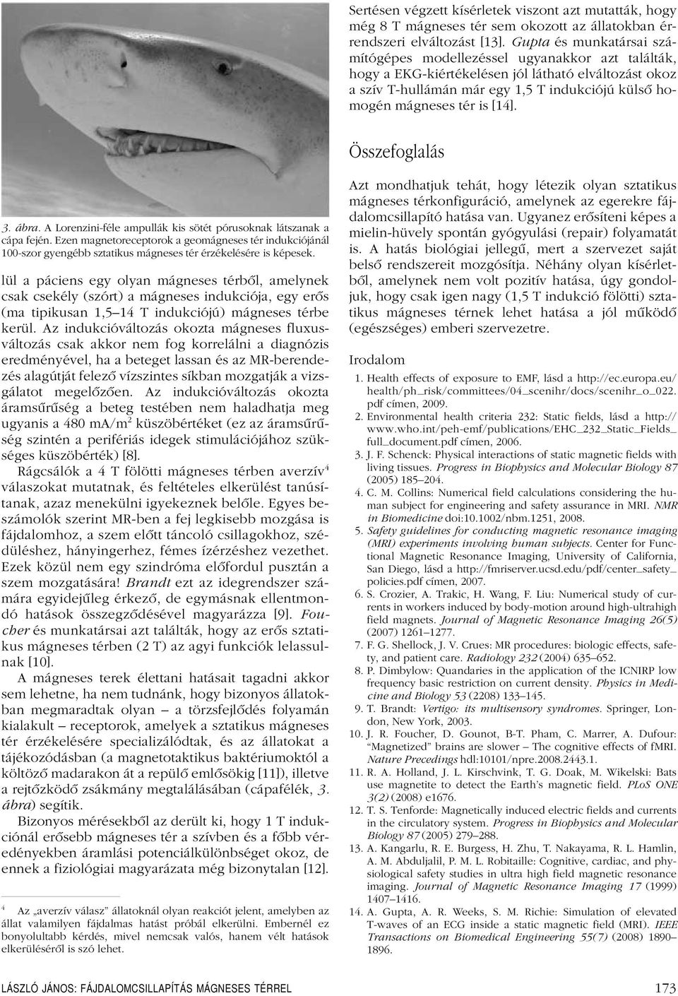 [14]. Összefoglalás 3. ábra. A Lorenzini-féle ampullák kis sötét pórusoknak látszanak a cápa fején.