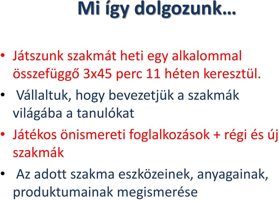 Vállaltuk, hogy bevezetjük a szakmák világába a tanulókat Játékos