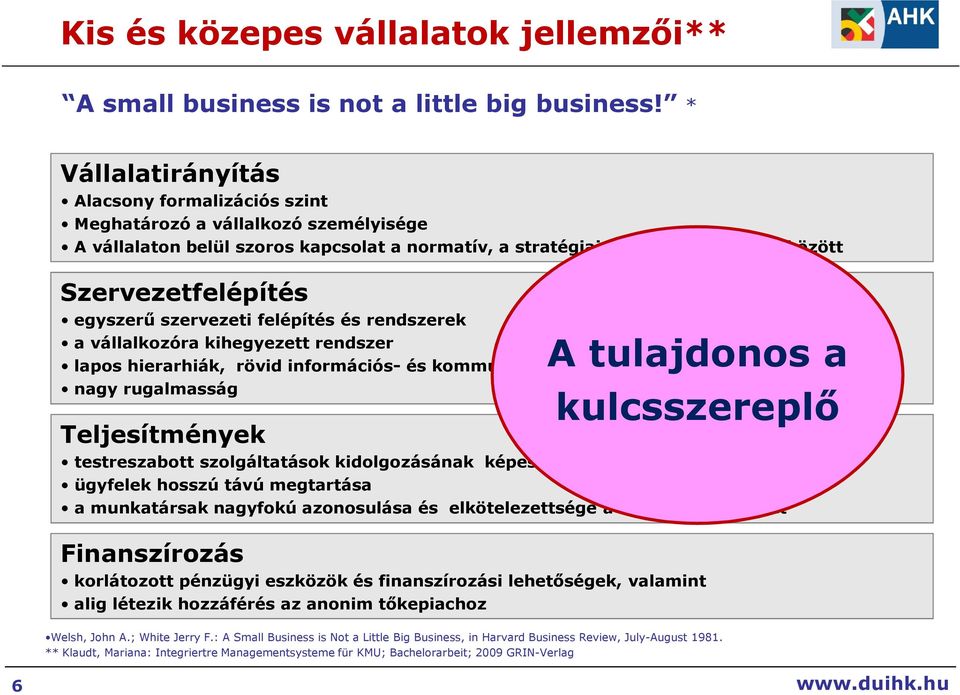 egyszerő szervezeti felépítés és rendszerek a vállalkozóra kihegyezett rendszer lapos hierarhiák, rövid információs- és kommunikációs utak nagy rugalmasság A tulajdonos a kulcsszereplı Teljesítmények