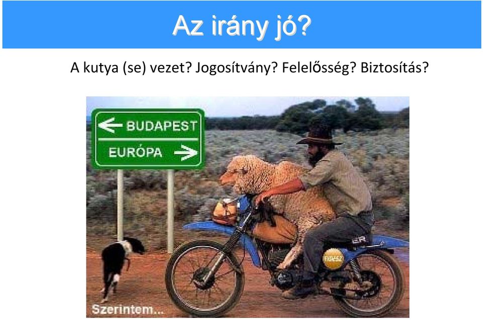 vezet?