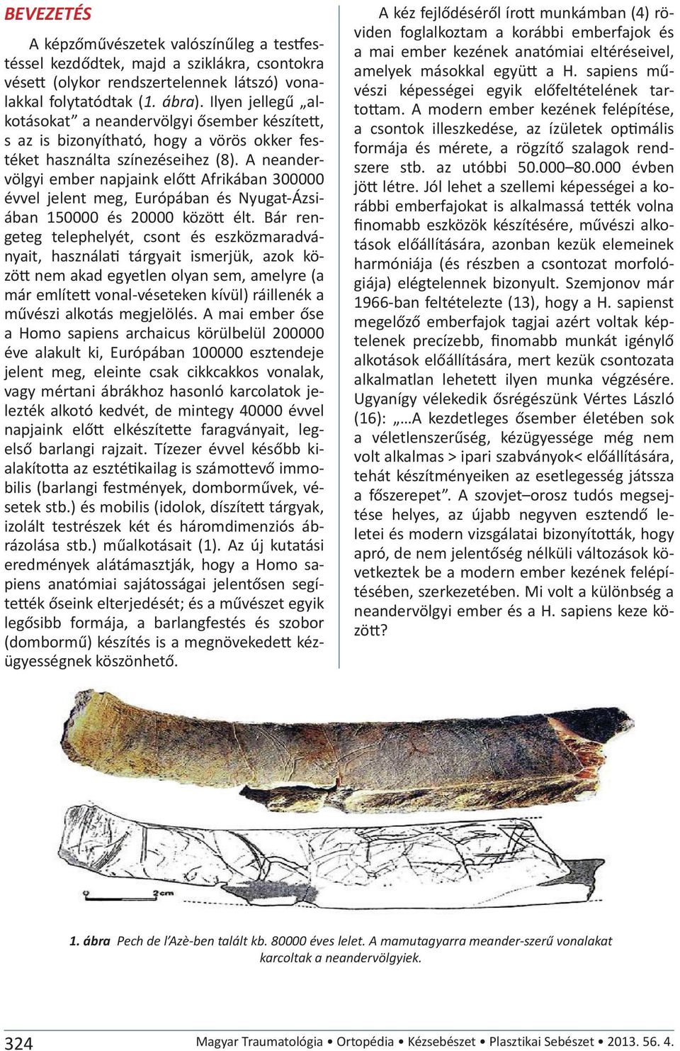 A neandervölgyi ember napjaink előtt Afrikában 300000 évvel jelent meg, Európában és Nyugat-Ázsiában 150000 és 20000 között élt.