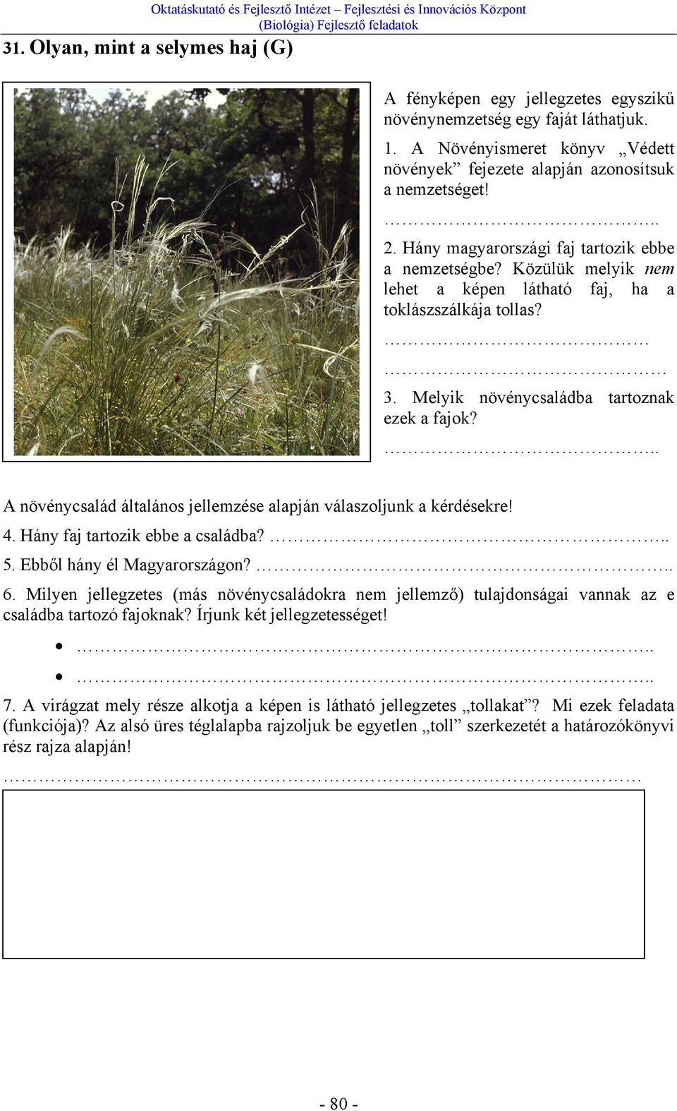 Közülük melyik nem lehet a képen látható faj, ha a toklászszálkája tollas? 3. Melyik növénycsaládba tartoznak ezek a fajok?.. A növénycsalád általános jellemzése alapján válaszoljunk a kérdésekre! 4.