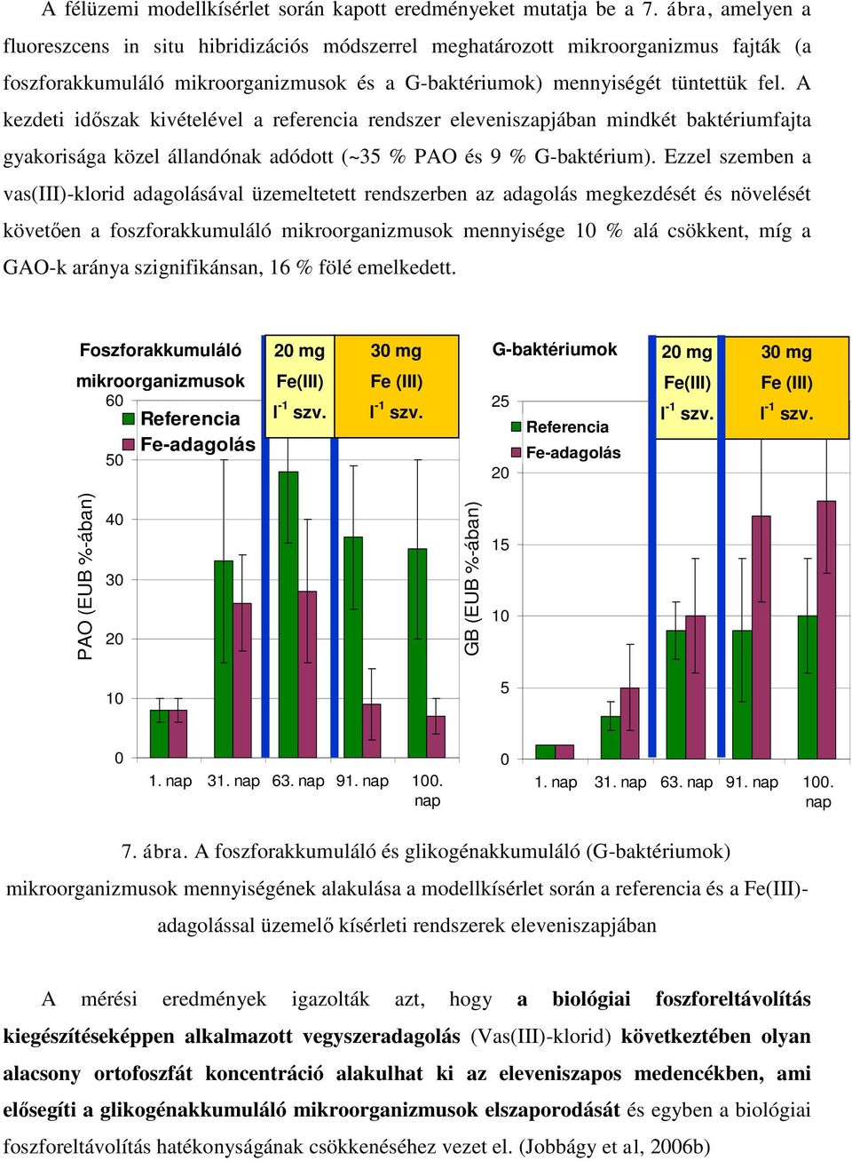 A kezdeti időszak kivételével a referencia rendszer eleveniszapjában mindkét baktériumfajta gyakorisága közel állandónak adódott (~35 % PAO és 9 % G-baktérium).