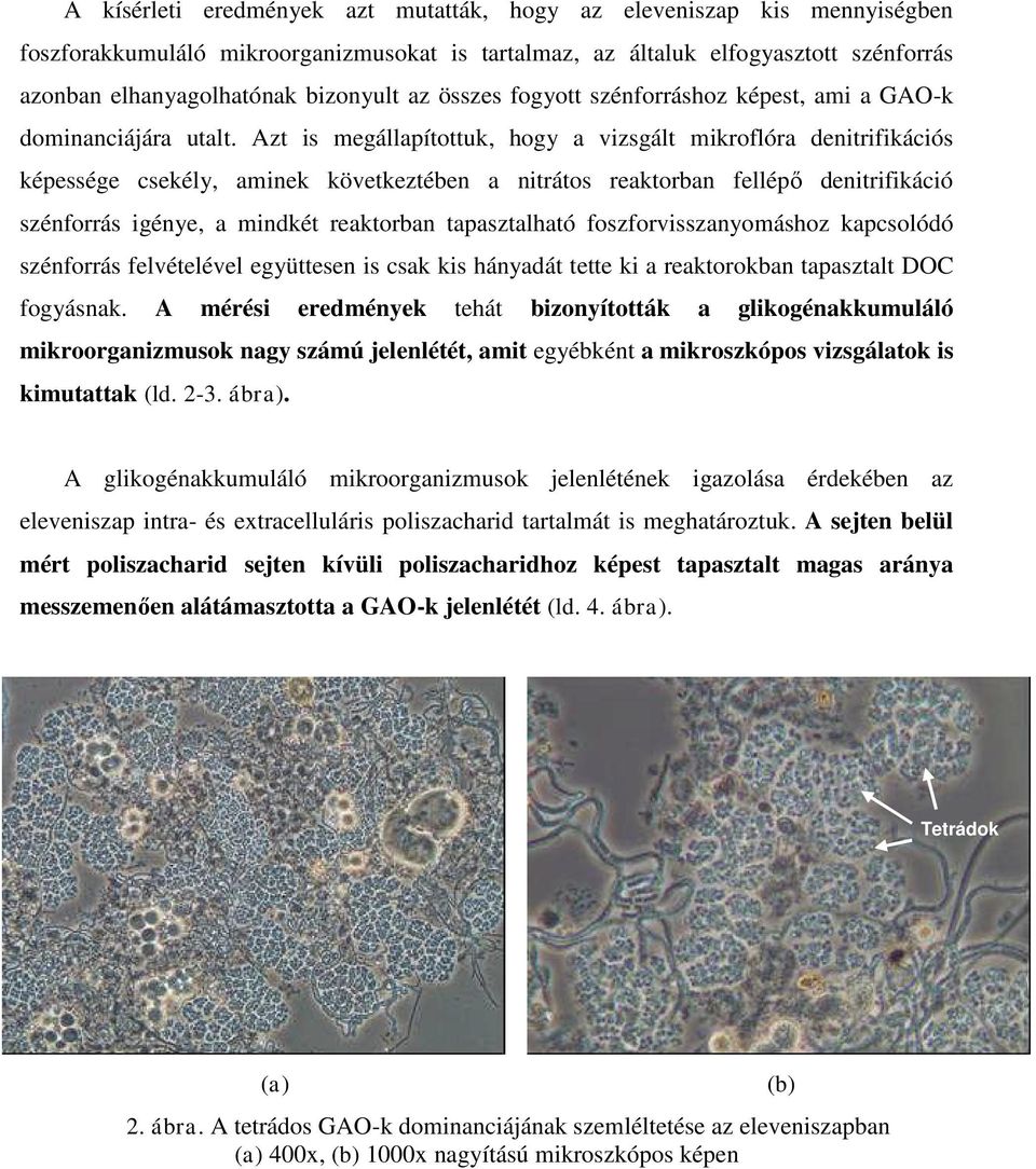 Azt is megállapítottuk, hogy a vizsgált mikroflóra denitrifikációs képessége csekély, aminek következtében a nitrátos reaktorban fellépő denitrifikáció szénforrás igénye, a mindkét reaktorban