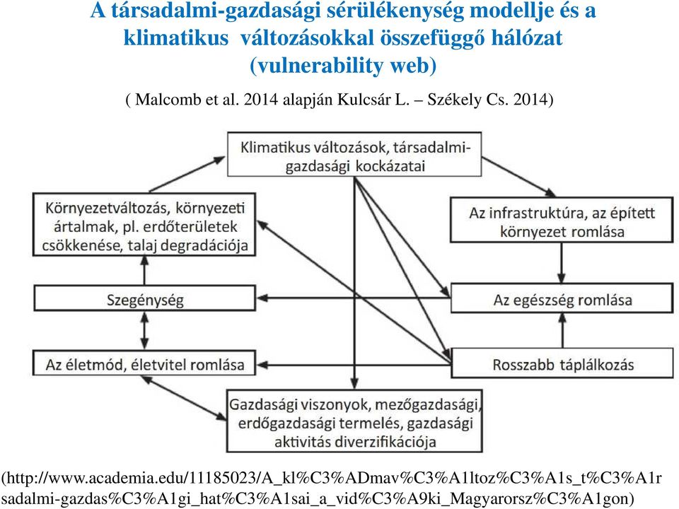 Székely Cs. 2014) (http://www.academia.