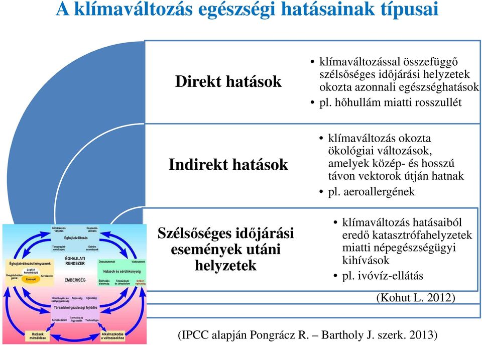 hőhullám miatti rosszullét klímaváltozás okozta ökológiai változások, amelyek közép- és hosszú távon vektorok útján hatnak pl.