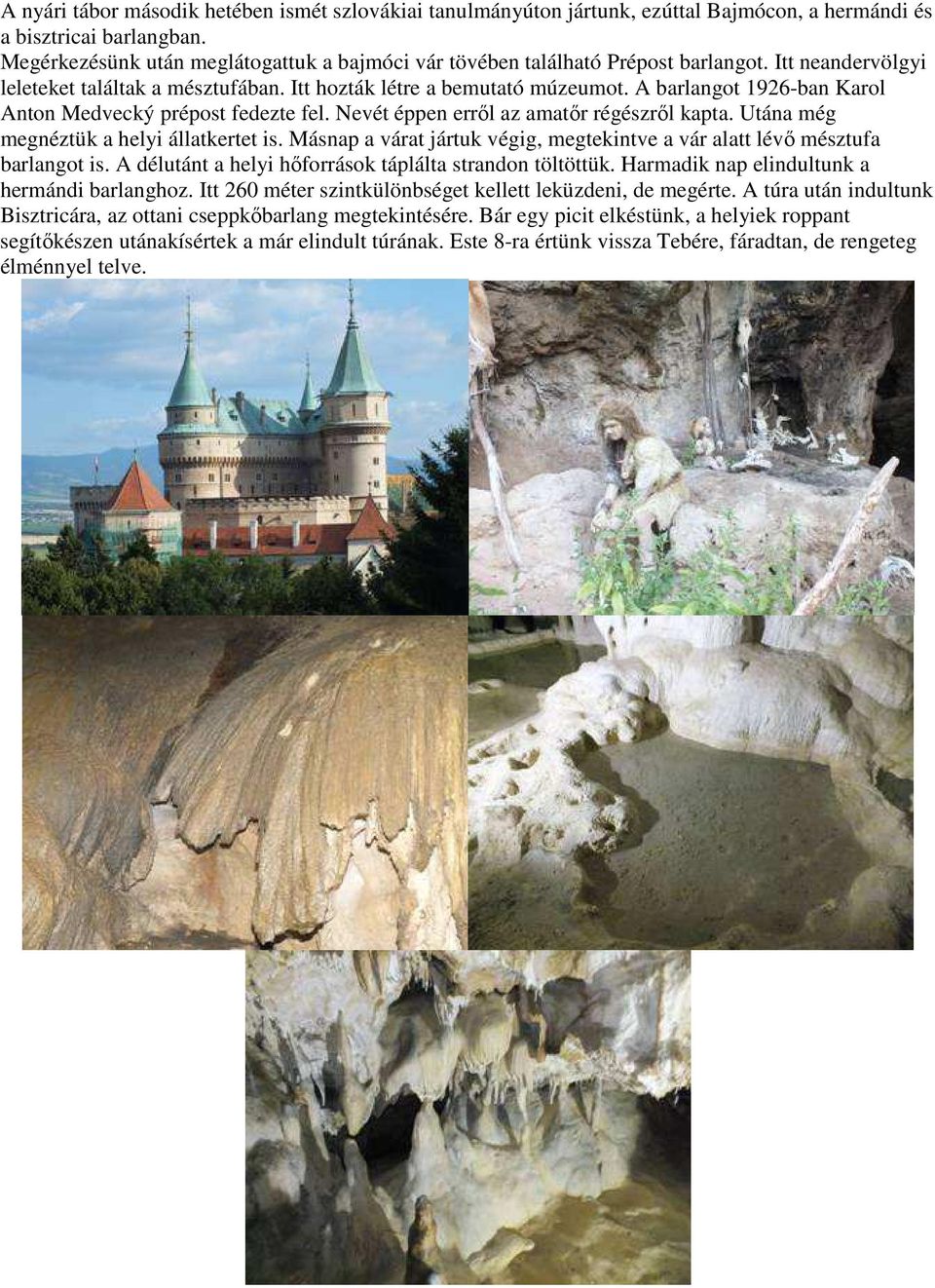 A barlangot 1926-ban Karol Anton Medvecký prépost fedezte fel. Nevét éppen erről az amatőr régészről kapta. Utána még megnéztük a helyi állatkertet is.