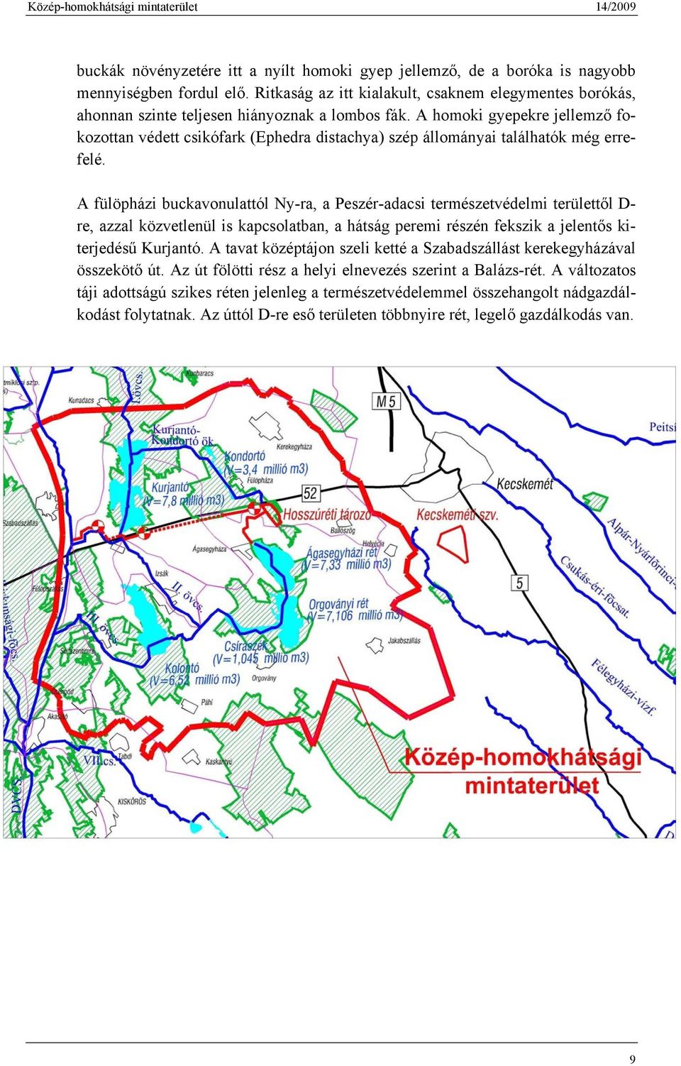 A homoki gyepekre jellemző fokozottan védett csikófark (Ephedra distachya) szép állományai találhatók még errefelé.