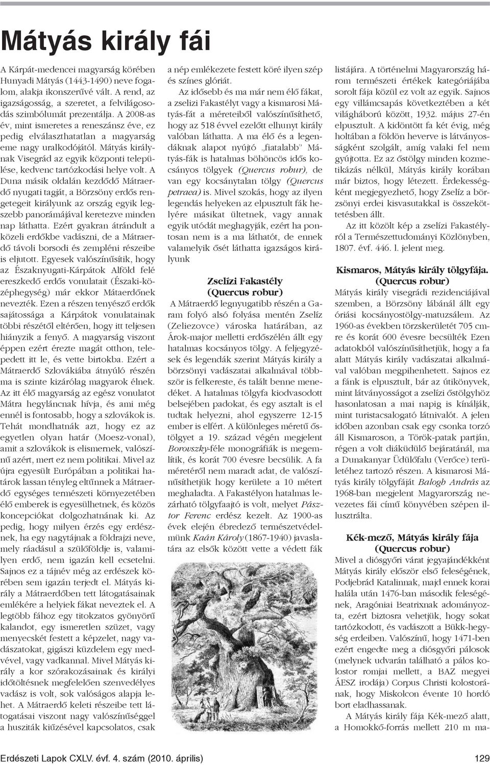 A Duna másik oldalán kezdõdõ Mátraerdõ nyugati tagját, a Börzsöny erdõs rengetegeit királyunk az ország egyik legszebb panorámájával keretezve minden nap láthatta.