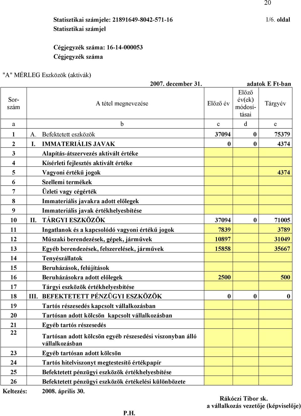 IMMATERIÁLIS JAVAK 0 0 4374 3 Alapítás-átszervezés aktivált értéke 4 Kísérleti fejlesztés aktivált értéke 5 Vagyoni értékű jogok 4374 6 Szellemi termékek 7 Üzleti vagy cégérték 8 Immateriális javakra