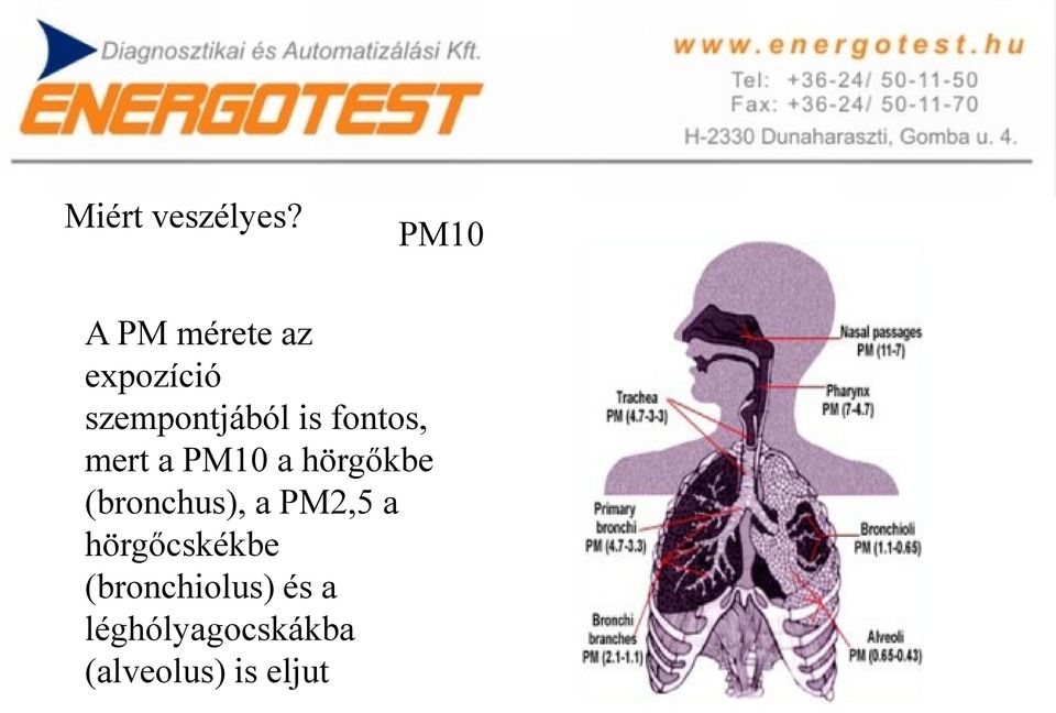 fontos, mert a PM10 a hörgőkbe (bronchus), a