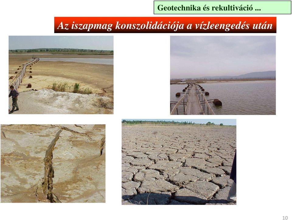 .. Az iszapmag