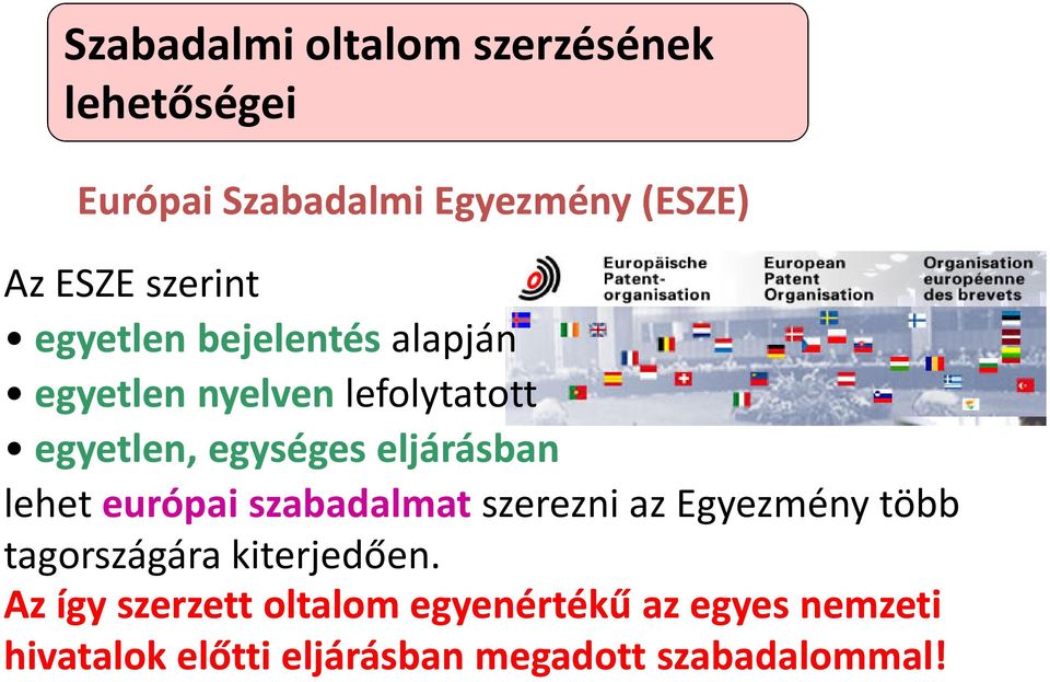 eljárásban lehet európaiszabadalmatszerezni az Egyezmény több tagországára kiterjedően.