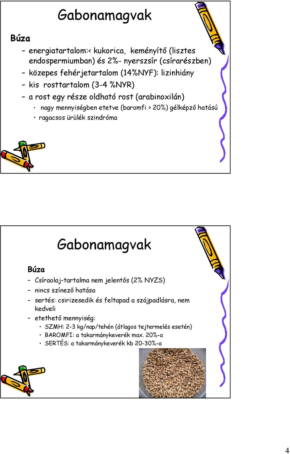 hatású ragacsos ürülék szindróma Gabonamagvak Búza Csíraolaj-tartalma nem jelentős (2% NYZS) nincs színező hatása sertés: csirizesedik és feltapad