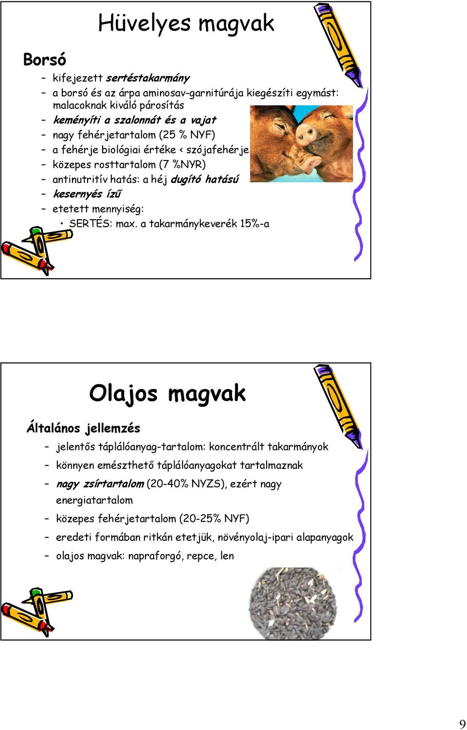 Tömegtakarmányok (terimés) Abraktakarmányok (koncetrált) Gyökér és gumós.  Szálas. Gabonamagvak kukorica árpa búza zab rozs tritikálé köles - PDF Free  Download