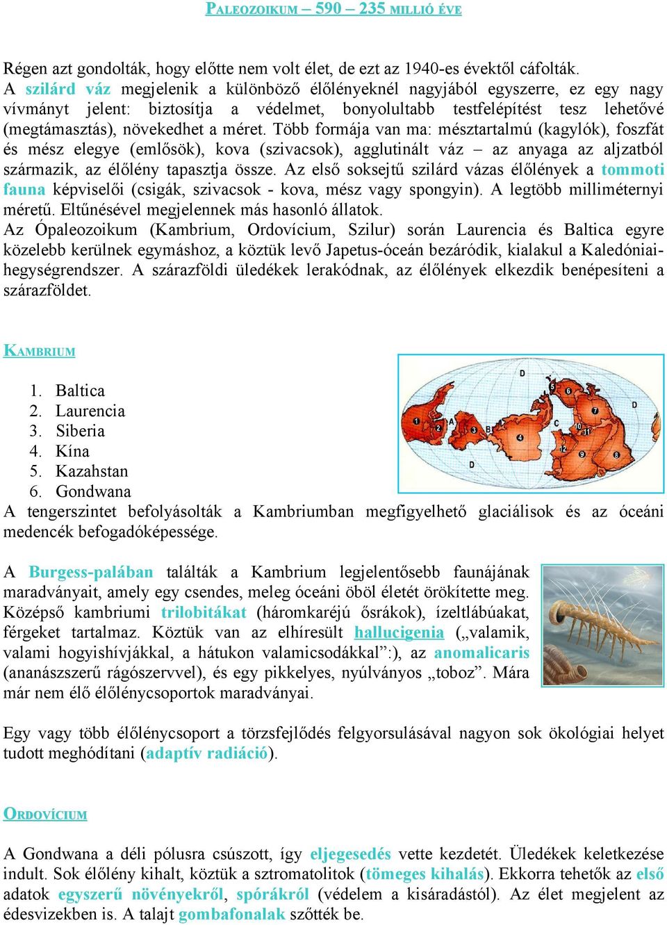 Több formája van ma: mésztartalmú (kagylók), foszfát és mész elegye (emlősök), kova (szivacsok), agglutinált váz az anyaga az aljzatból származik, az élőlény tapasztja össze.