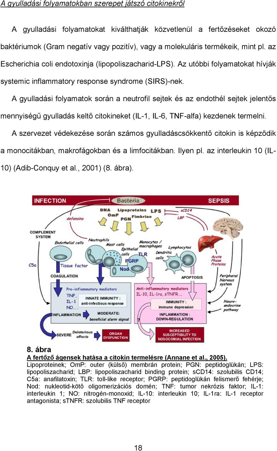 A gyulladási folyamatok során a neutrofil sejtek és az endothél sejtek jelentős mennyiségű gyulladás keltő citokineket (IL-1, IL-6, TNF-alfa) kezdenek termelni.