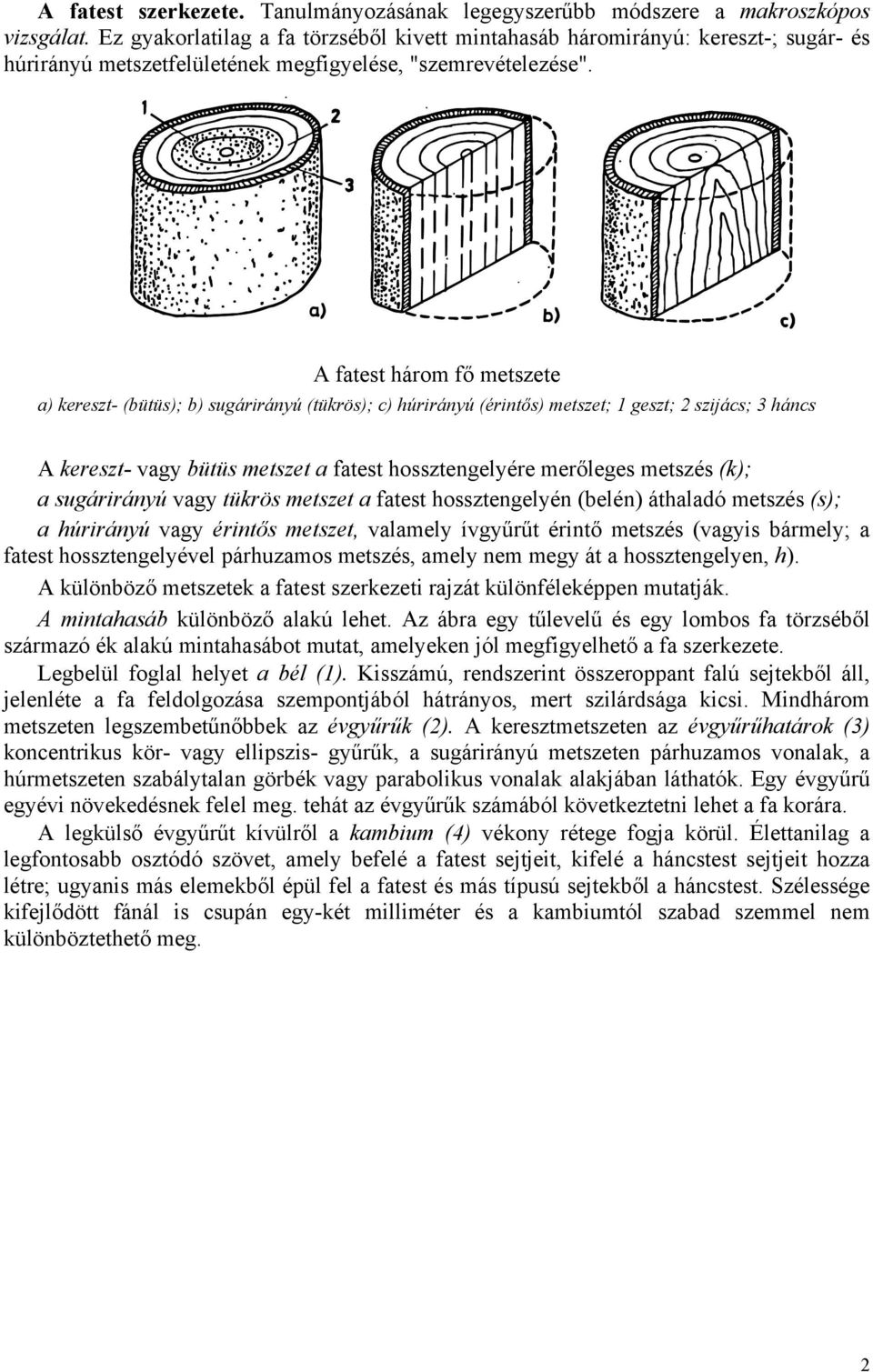 A fatest három fő metszete a) kereszt- (bütüs); b) sugárirányú (tükrös); c) húrirányú (érintős) metszet; 1 geszt; 2 szijács; 3 háncs A kereszt- vagy bütüs metszet a fatest hossztengelyére merőleges