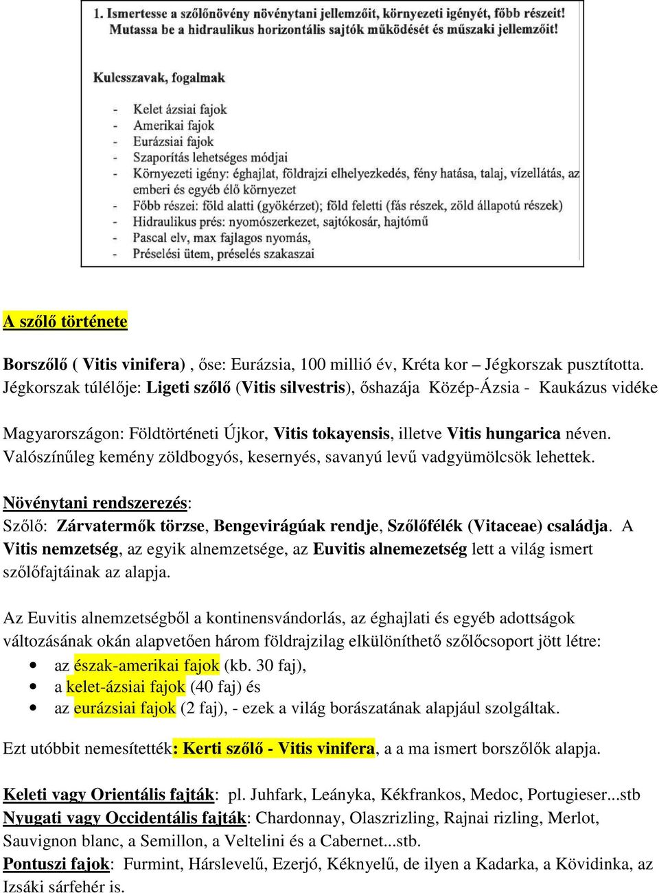 Valószínűleg kemény zöldbogyós, kesernyés, savanyú levű vadgyümölcsök lehettek. Növénytani rendszerezés: Szőlő: Zárvatermők törzse, Bengevirágúak rendje, Szőlőfélék (Vitaceae) családja.