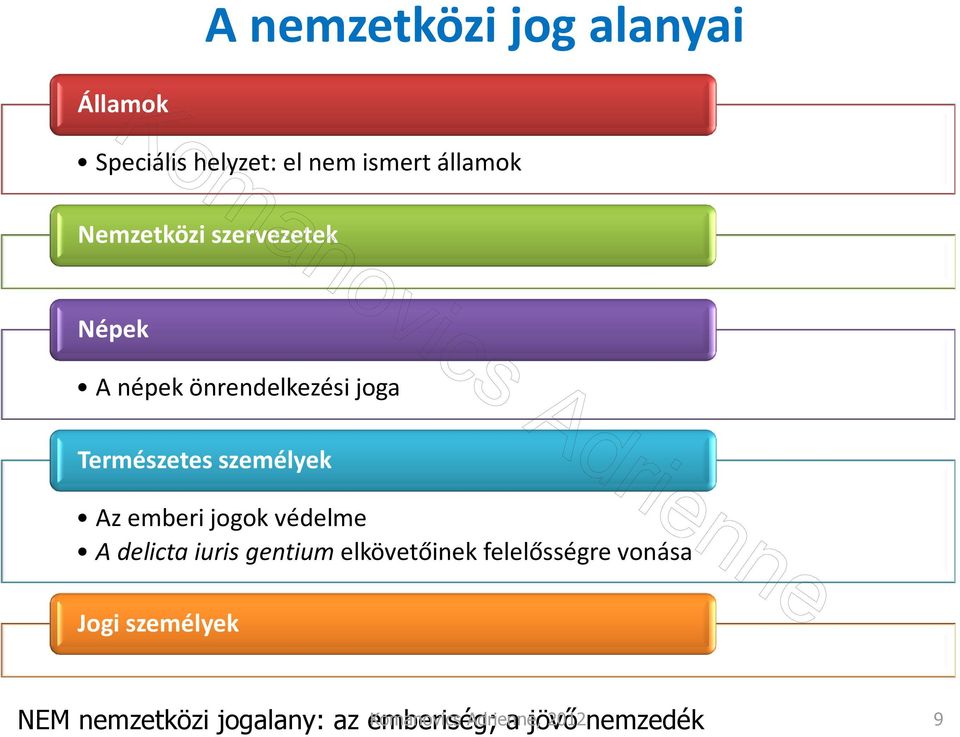 emberi jogok védelme A delicta iuris gentium elkövetőinek felelősségre vonása Jogi