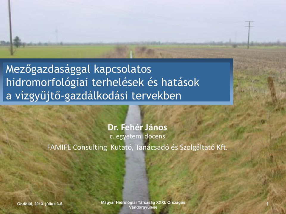 egyetemi docens FAMIFE Consulting Kutató, Tanácsadó és Szolgáltató