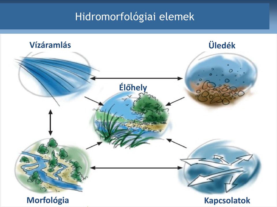 Üledék Élőhely