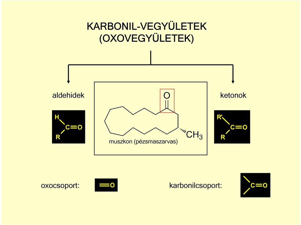 ketonok ' muszkon